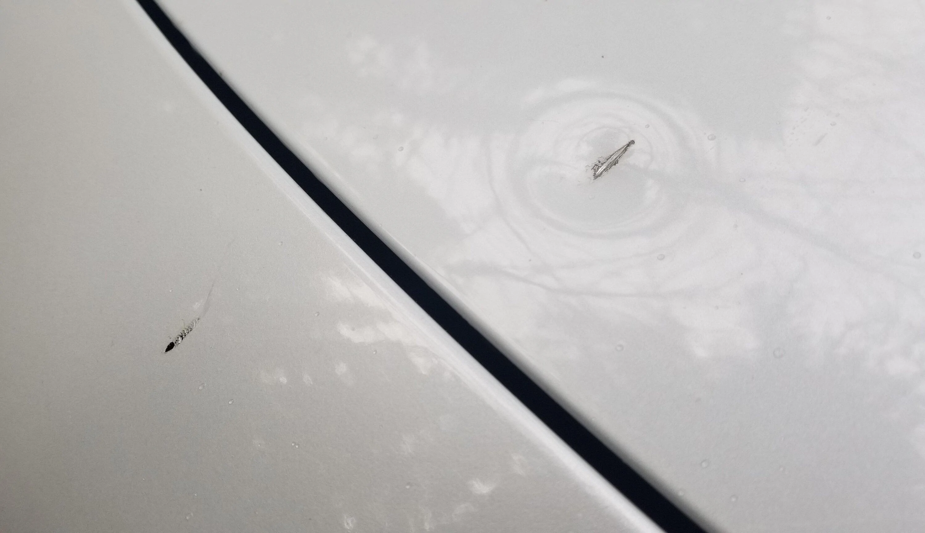 Tesla Roadster 2nd gen I don’t think you need  PPF protection. The steel panels  hard to damage 1708471840322
