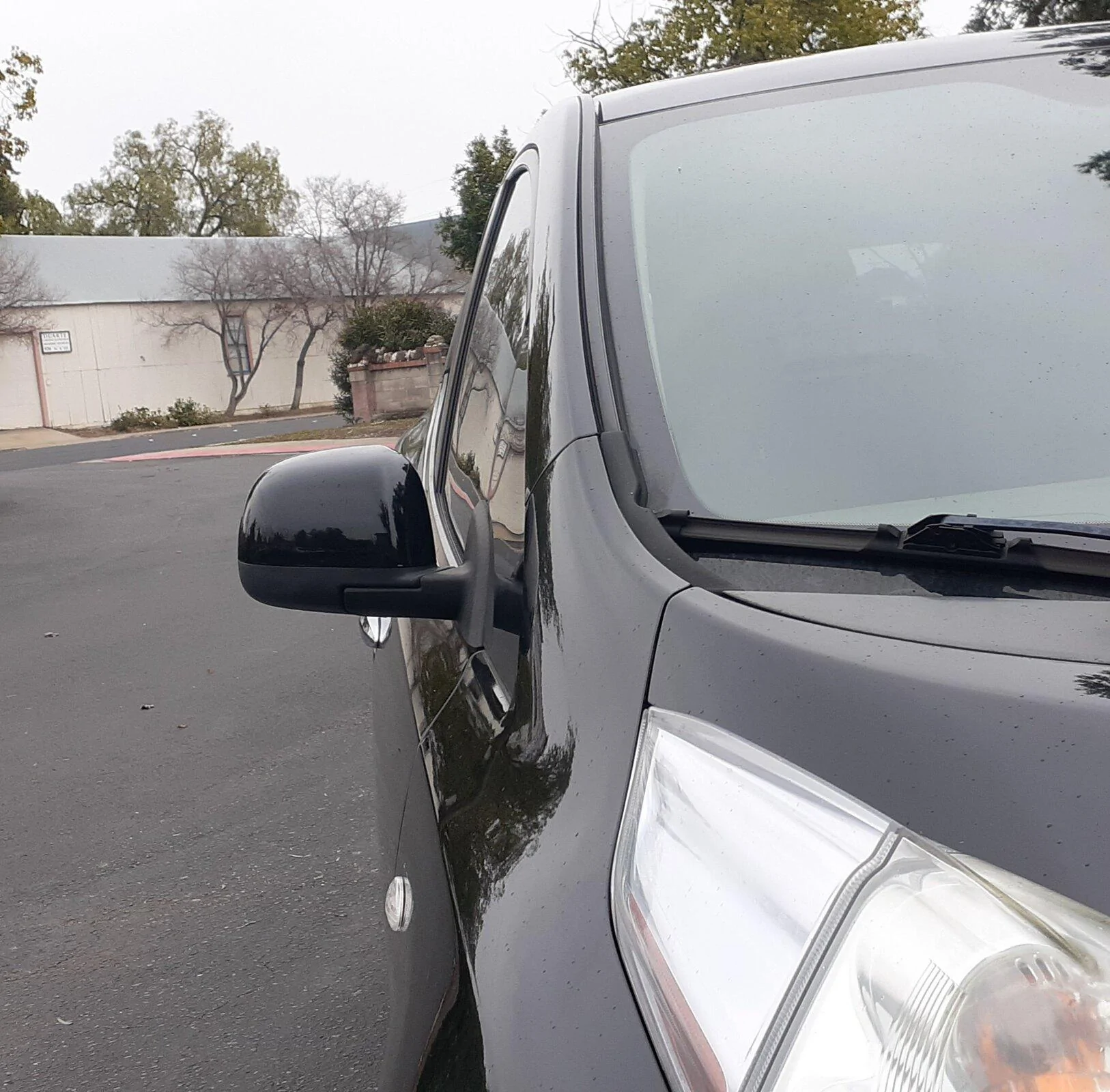 Tesla Roadster 2nd gen camera side mirror on leaf 20210126_183725