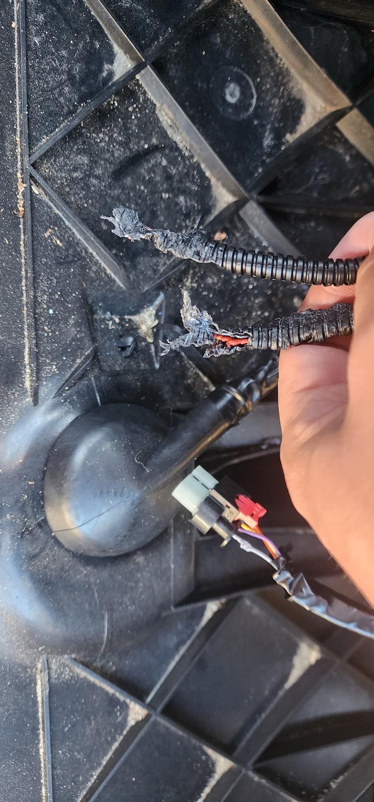 Tesla Roadster 2nd gen Safety Restraint System Issue - Service required 20231208_081200_Original