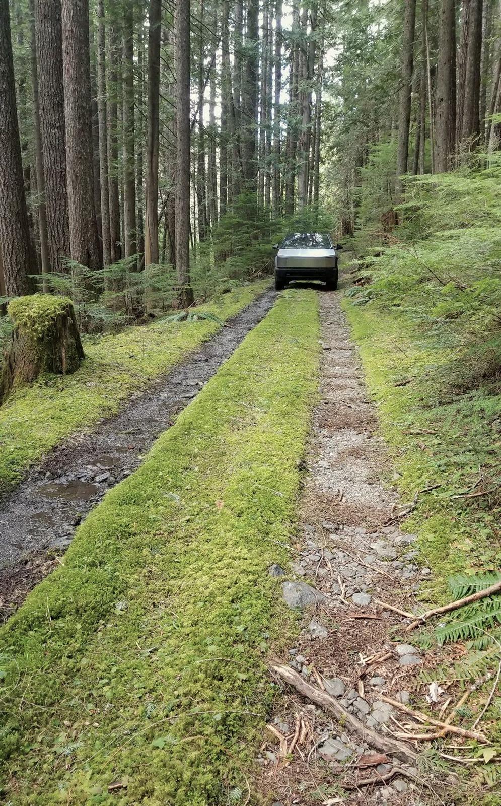 Tesla Cybertruck Daily random Cybertruck photos thread - Post Yours! 📸 🤳 20240418_154842cr2