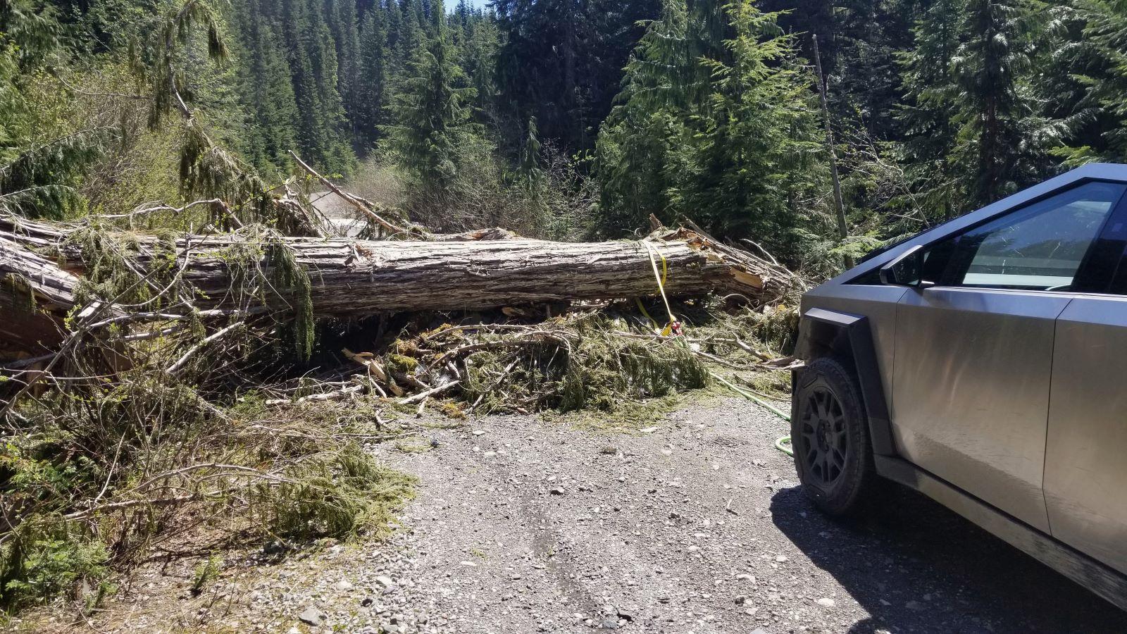 Tesla Cybertruck What Are You Hauling in your Cybertruck? 🦾 👷‍♂️ 20240608_134928adsm