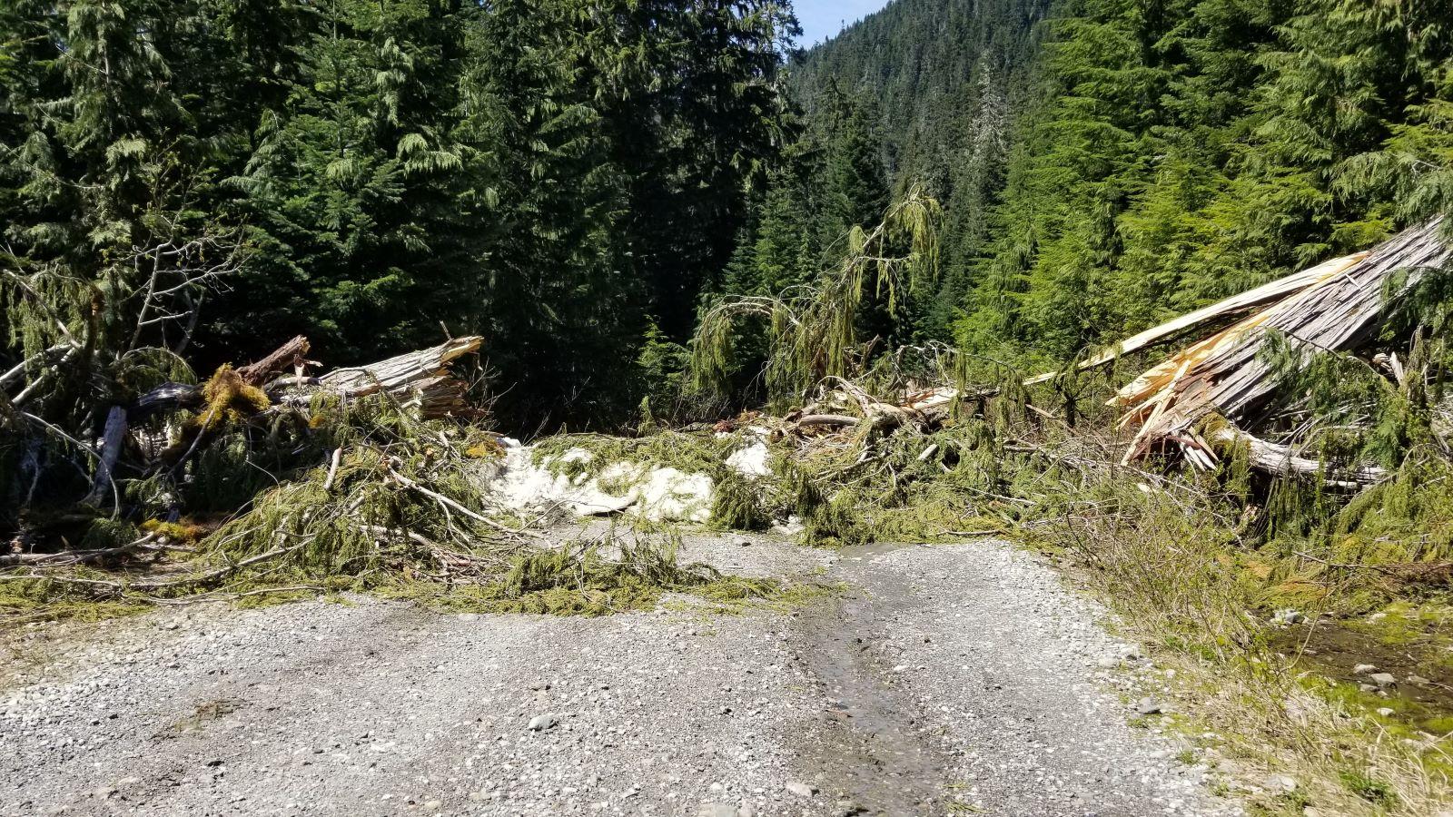 Tesla Cybertruck First Cybertruck to cross the Rubicon video launch! [CYBERTRUCKco] 20240608_140810adsm-