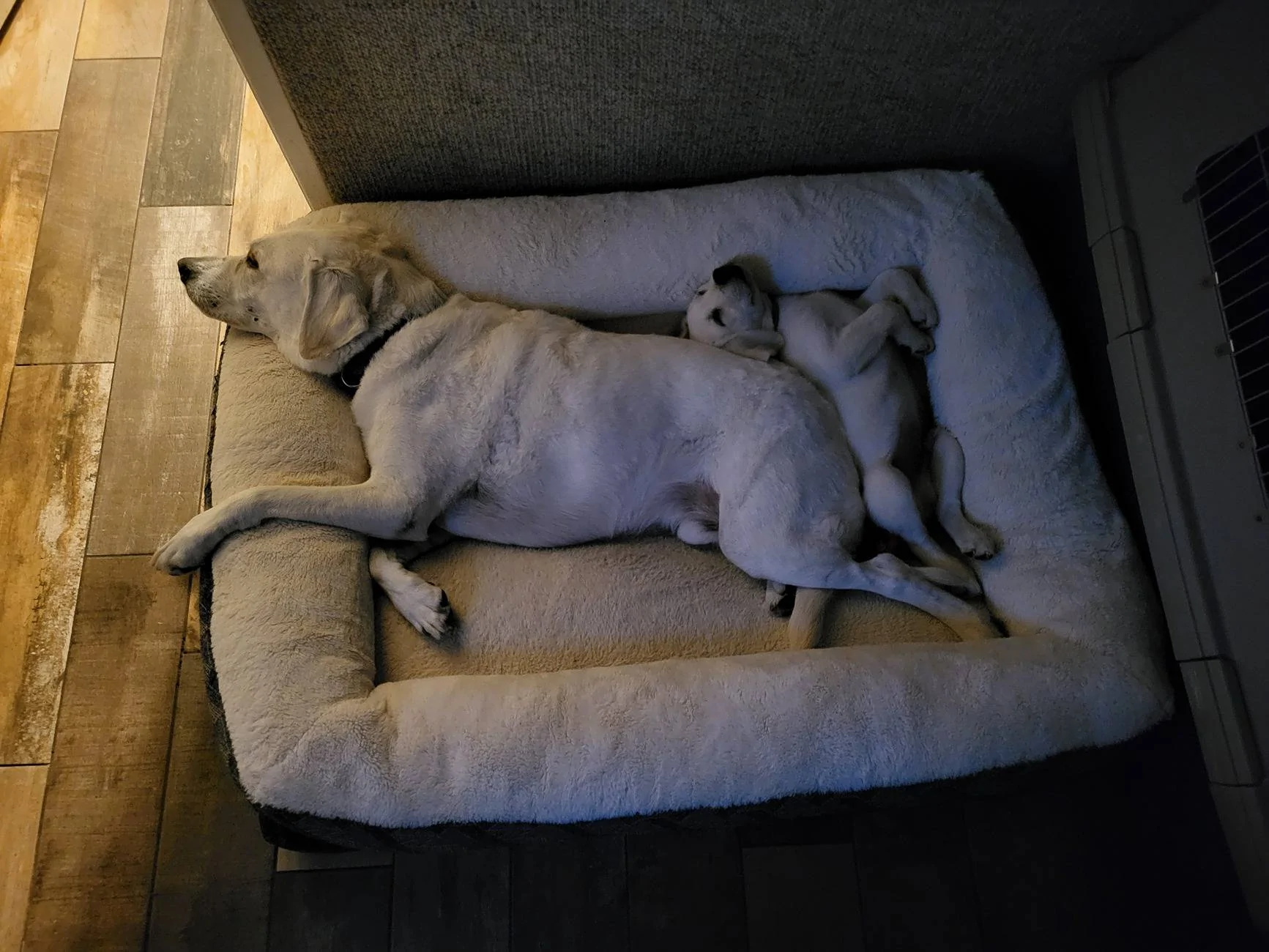 Tesla Cybertruck 💦 25-Gallon Smugglers Bay (Sub-Bed) Water Storage Bag Rinse Kit by CYBERTRUCKco - $399.95 20240721_212410