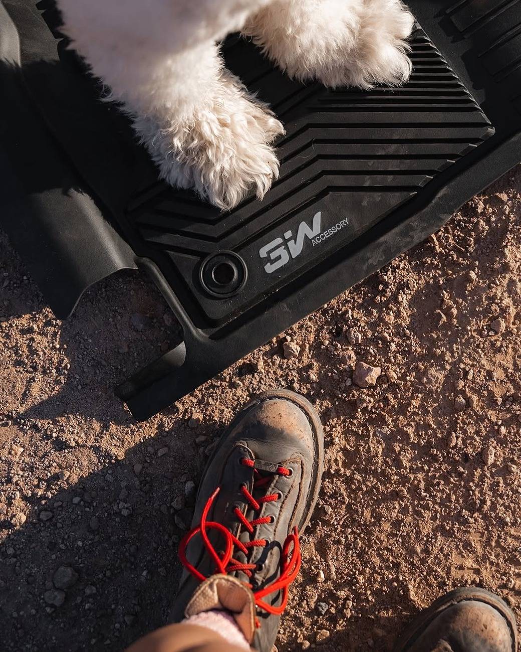 Tesla Cybertruck 🐾 Cats vs. Dogs: The Ultimate Adventure Buddies! 🐾 4_18128269411389460_6865918200221504133_n_1080-