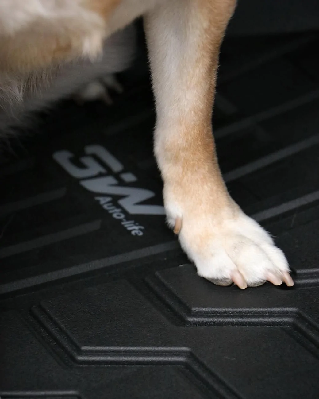 Tesla Cybertruck 🐾 The Perfect Car Mats for Pet Owners! Easy to Clean & Scratch-Resistant 🚗 akira_and_juni (1)