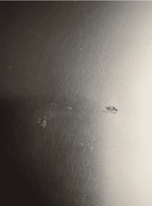 Tesla Roadster 2nd gen Small chip on hood - suggestions? ct scratch