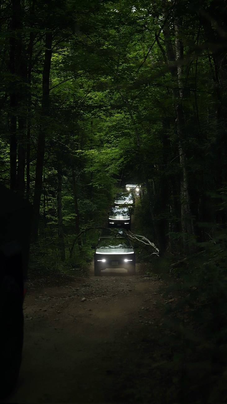 Tesla Cybertruck 🦾 Cybertruck doing truck stuff!  Post your photos! cybertrucks offroading woods 8