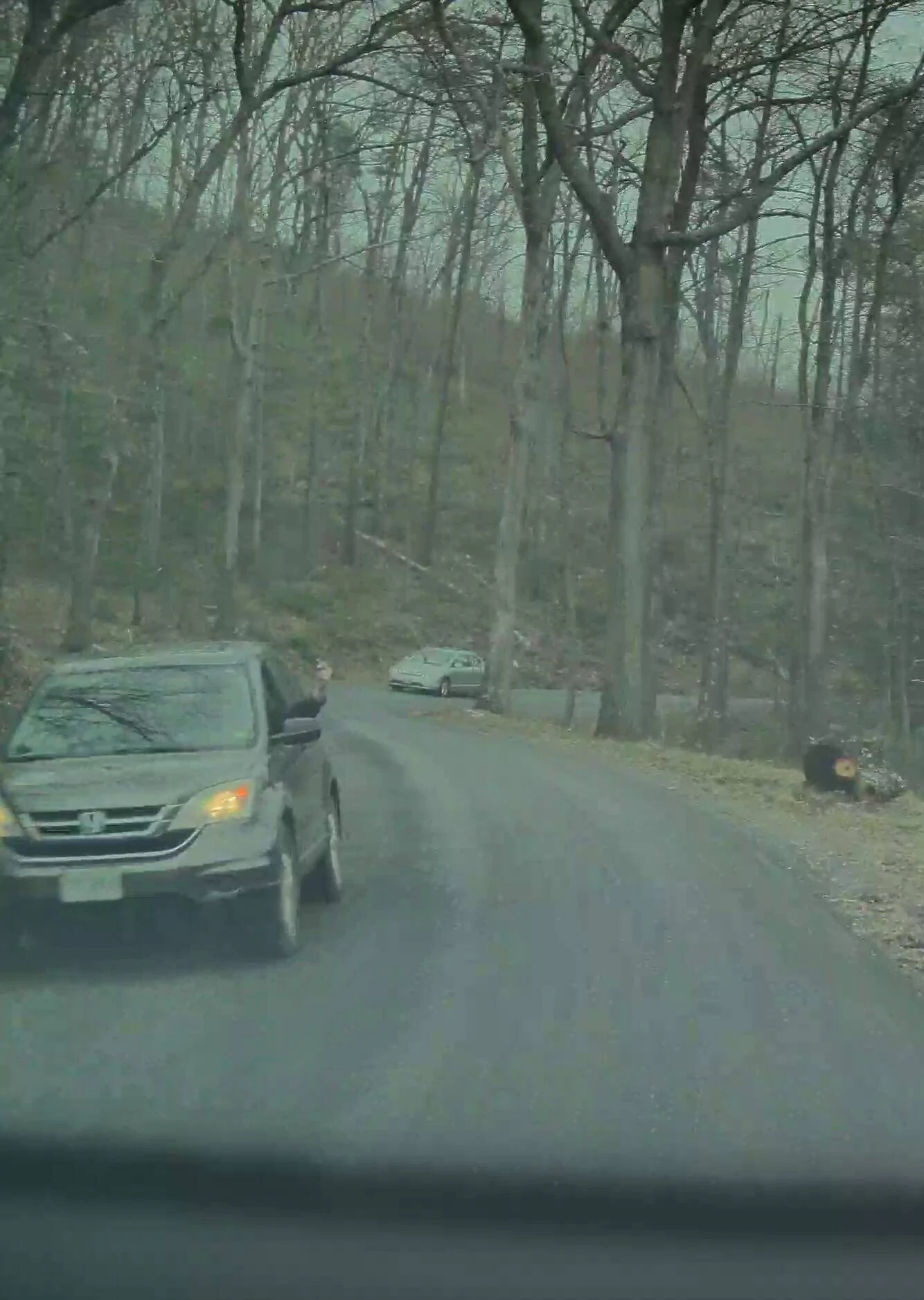 Tesla Cybertruck CYBERTRUCK hate by state [ADMIN WARNING: NO POLITICS] flipoff1