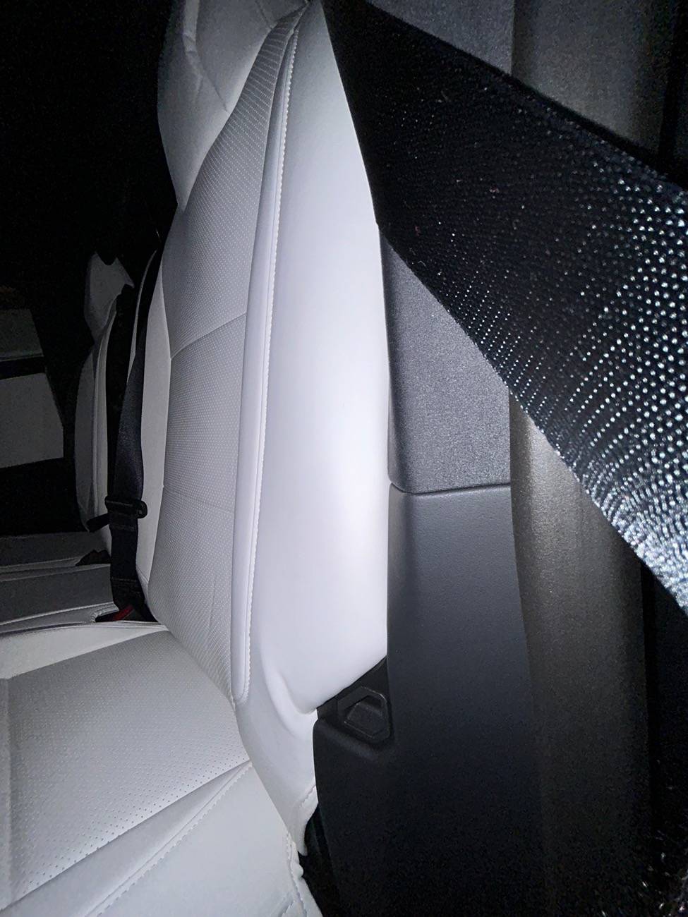 Tesla Roadster 2nd gen White seat covers from Elecfresh IMG_0269