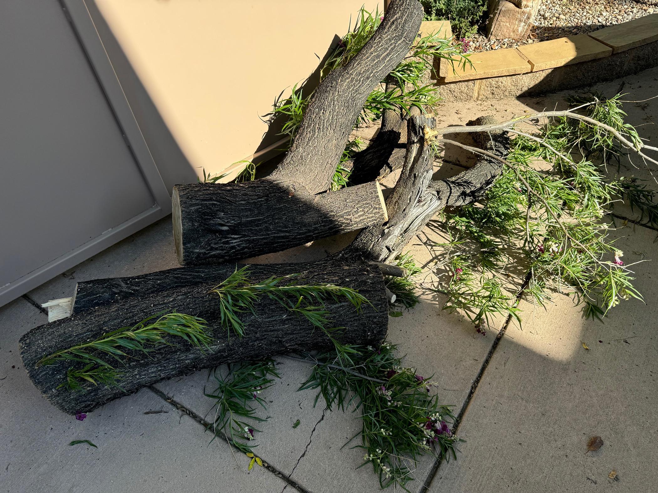 Tesla Cybertruck What Are You Hauling in your Cybertruck? 🦾 👷‍♂️ IMG_0608