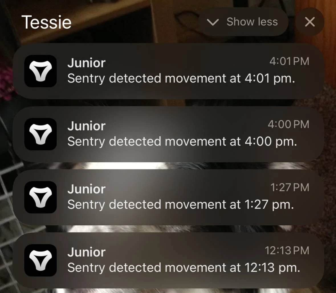 Tesla Roadster 2nd gen Sentry Mode recording notification on app? IMG_0927