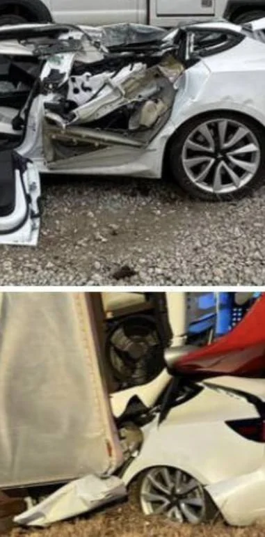 Tesla Cybertruck If you love your family, put them in a TESLA IMG_1645