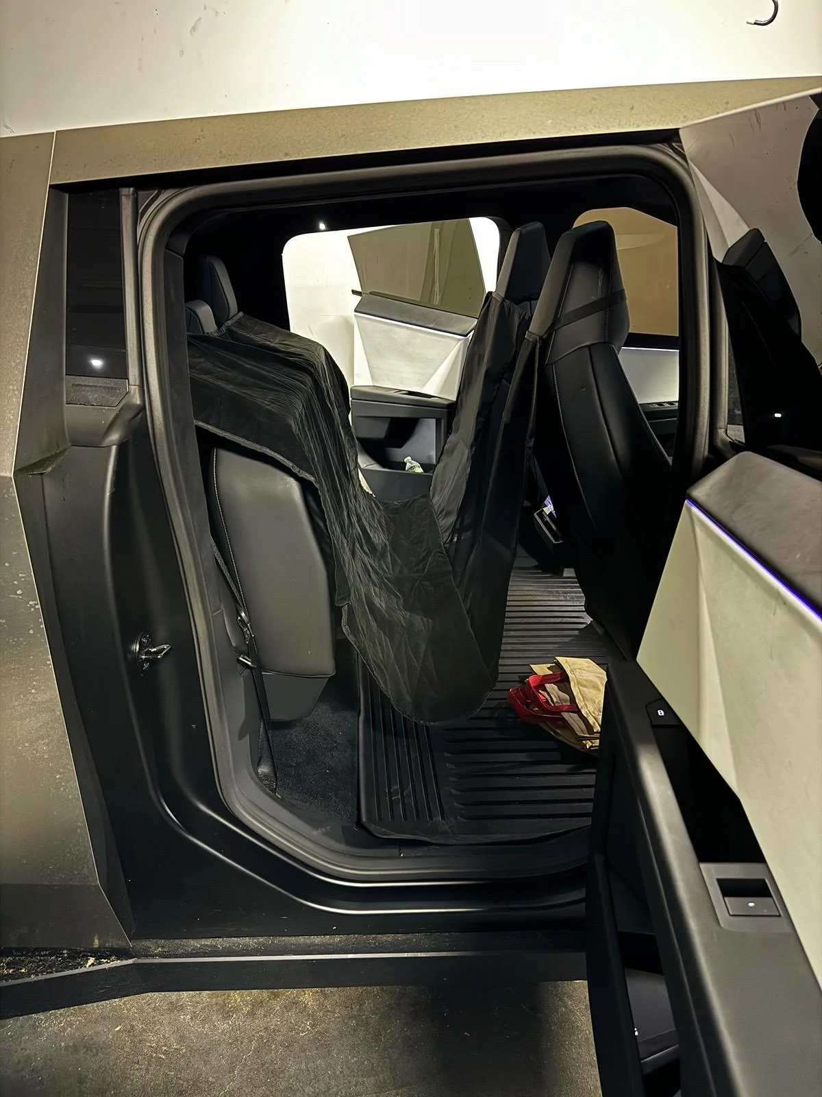 Tesla Cybertruck Introducing the MARSACCS Cybertruck Pet Cover for Dogs & Pets – Share Your Thoughts! IMG_1824