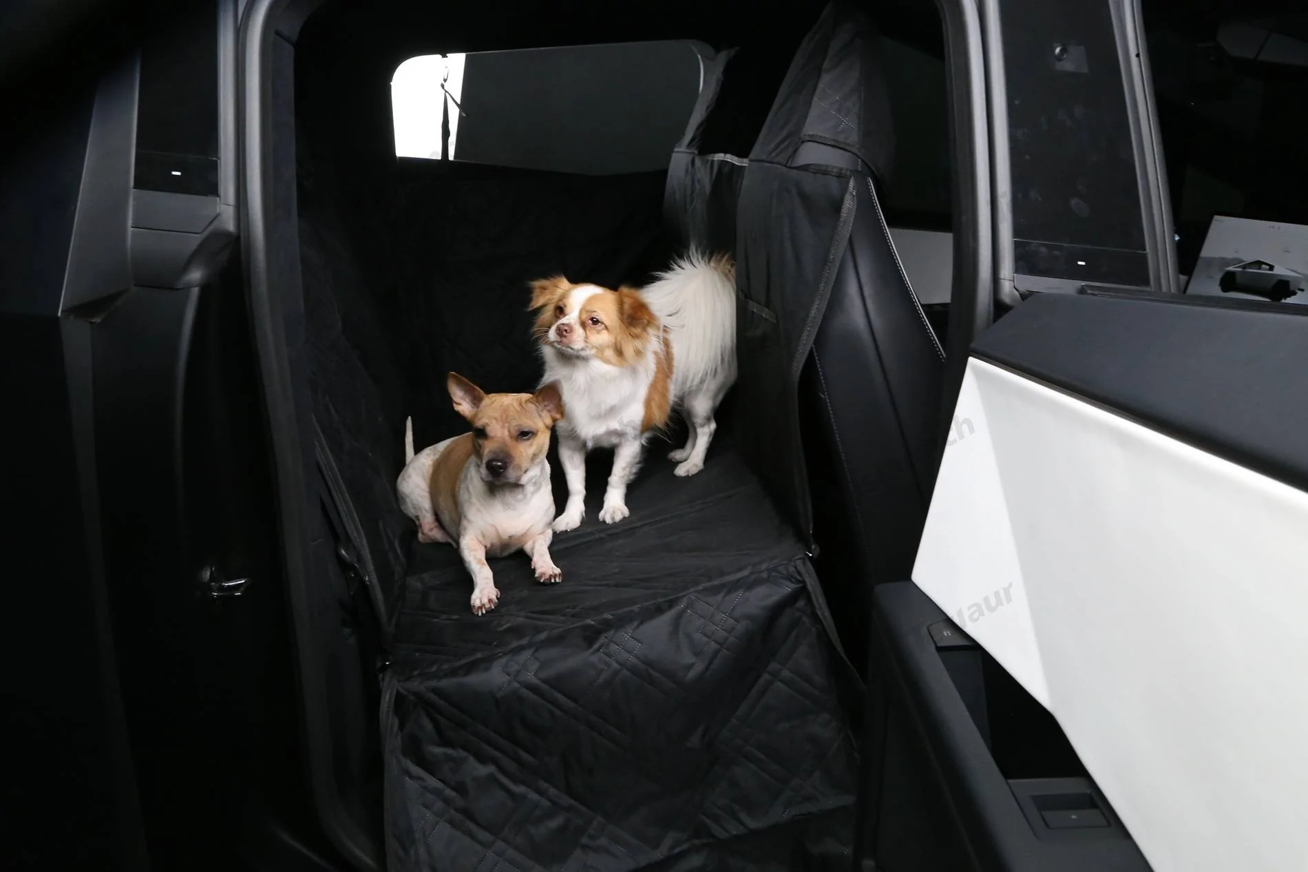 Tesla Cybertruck Share Your Pet's Adorable Moments in the Cybertruck 🐾🚙-Teslaunch Rear Seat Full-Cover Pet Liner For Cybertruck IMG_2634-1