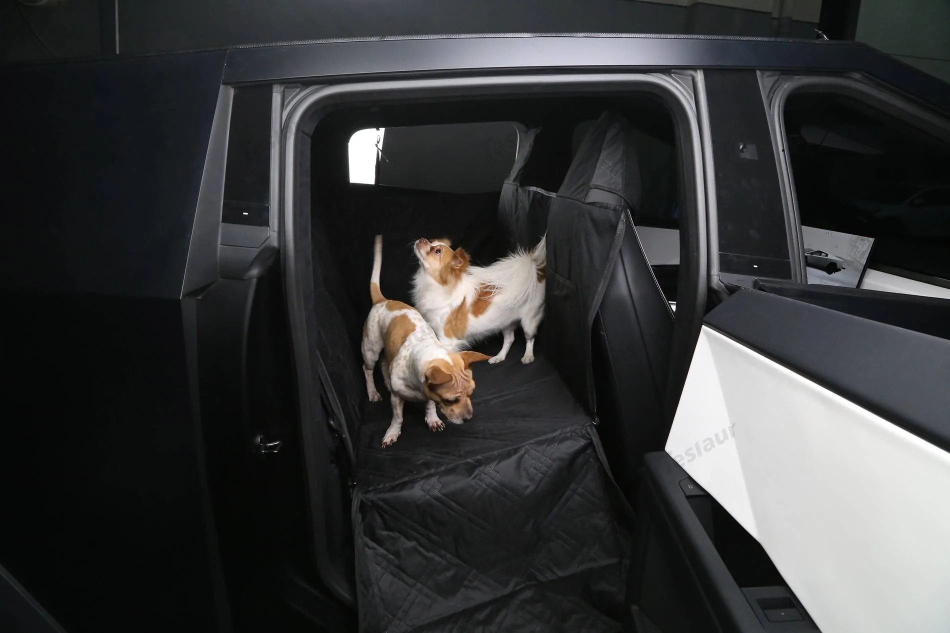 Tesla Cybertruck Share Your Pet's Adorable Moments in the Cybertruck 🐾🚙-Teslaunch Rear Seat Full-Cover Pet Liner For Cybertruck IMG_2634