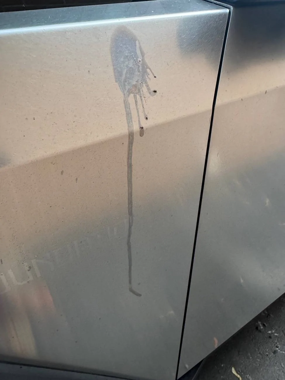 Tesla Roadster 2nd gen Bird poop etched my truck IMG_3309