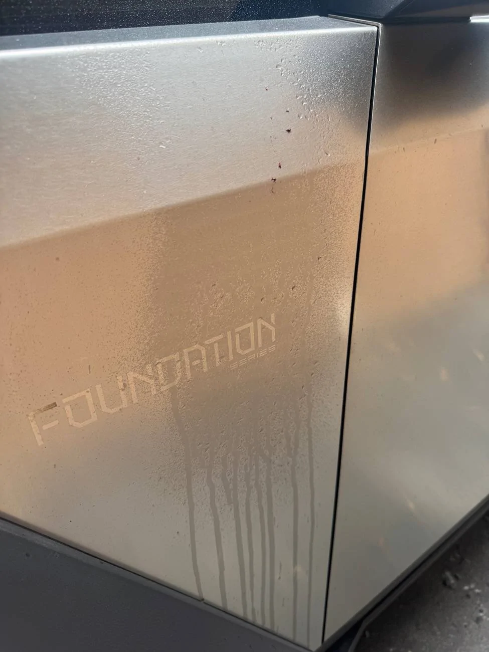 Tesla Roadster 2nd gen Bird poop etched my truck IMG_3312
