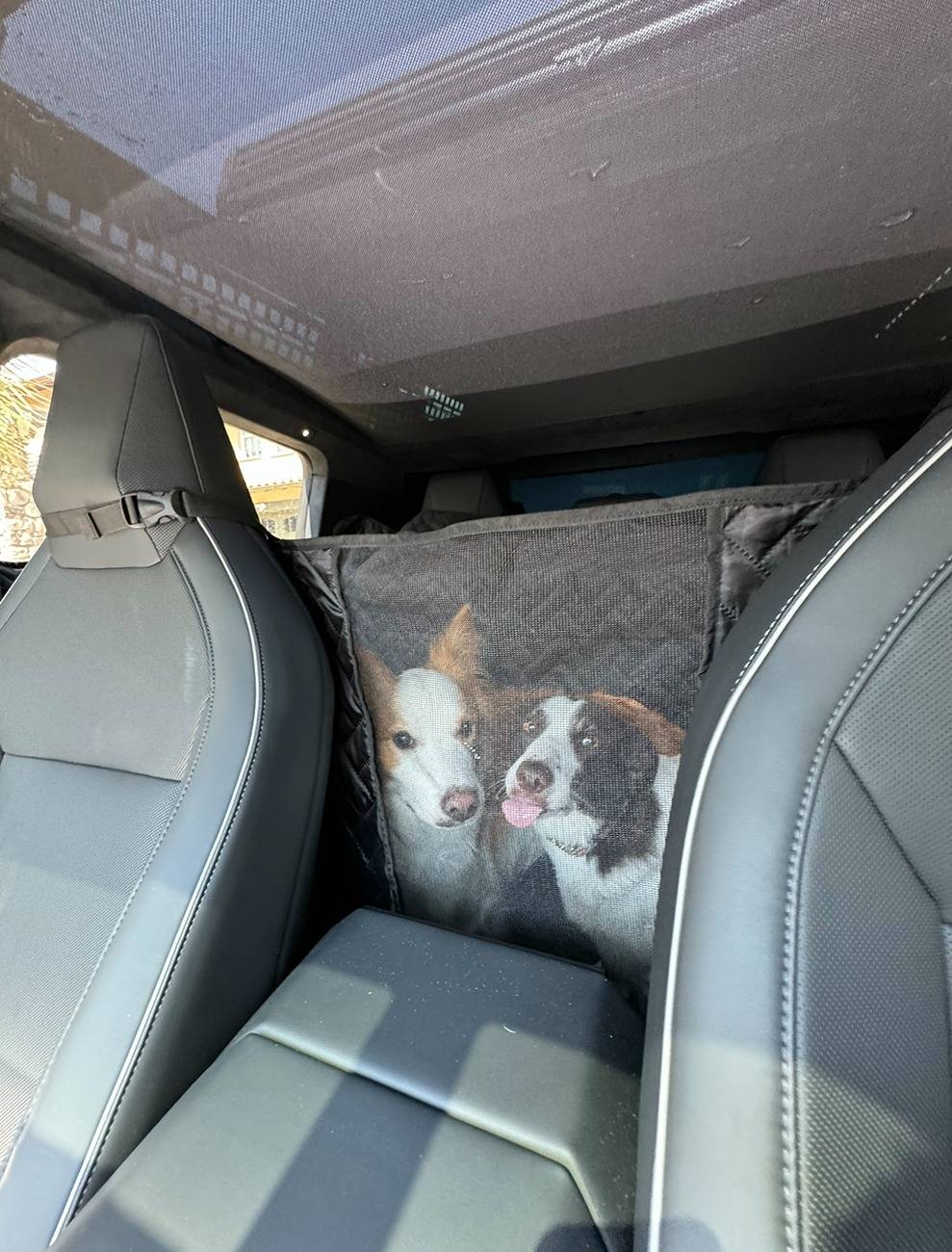 Tesla Cybertruck [MEMORIAL DAY SALE] Urander Cybertruck Pet Liner Floor Cover with Fold Up Seats – Comprehensive Protection & Effortless Convenience IMG_6483