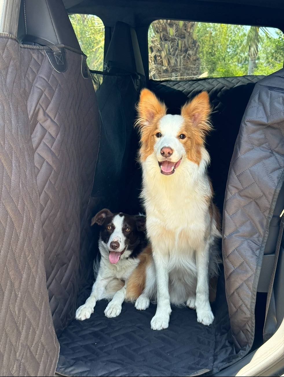 Tesla Cybertruck [MEMORIAL DAY SALE] Urander Cybertruck Pet Liner Floor Cover with Fold Up Seats – Comprehensive Protection & Effortless Convenience IMG_6484