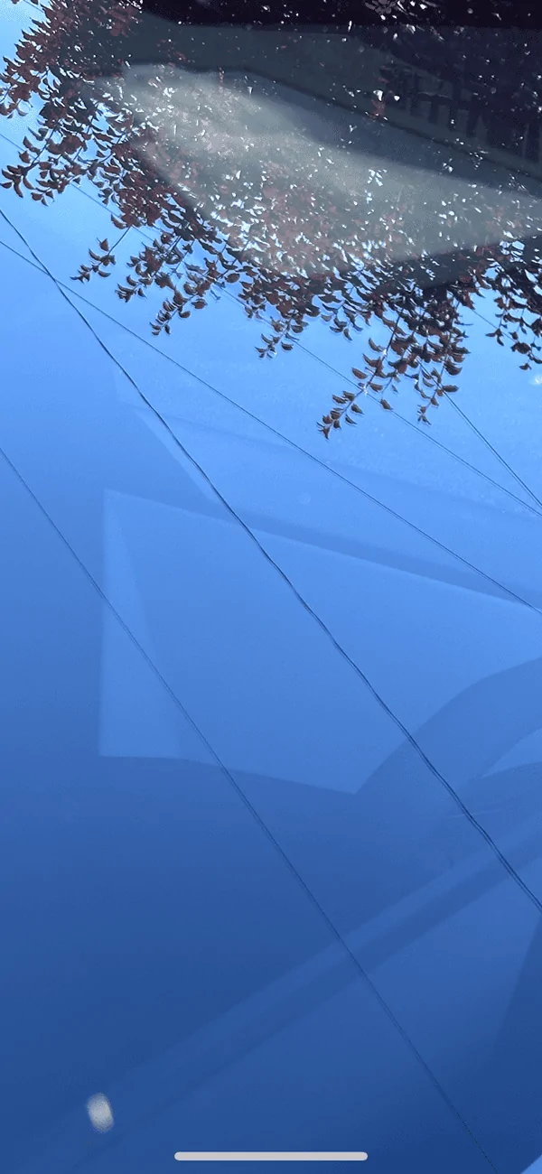 Tesla Cybertruck Off gassing still happening after 10K miles IMG_6690