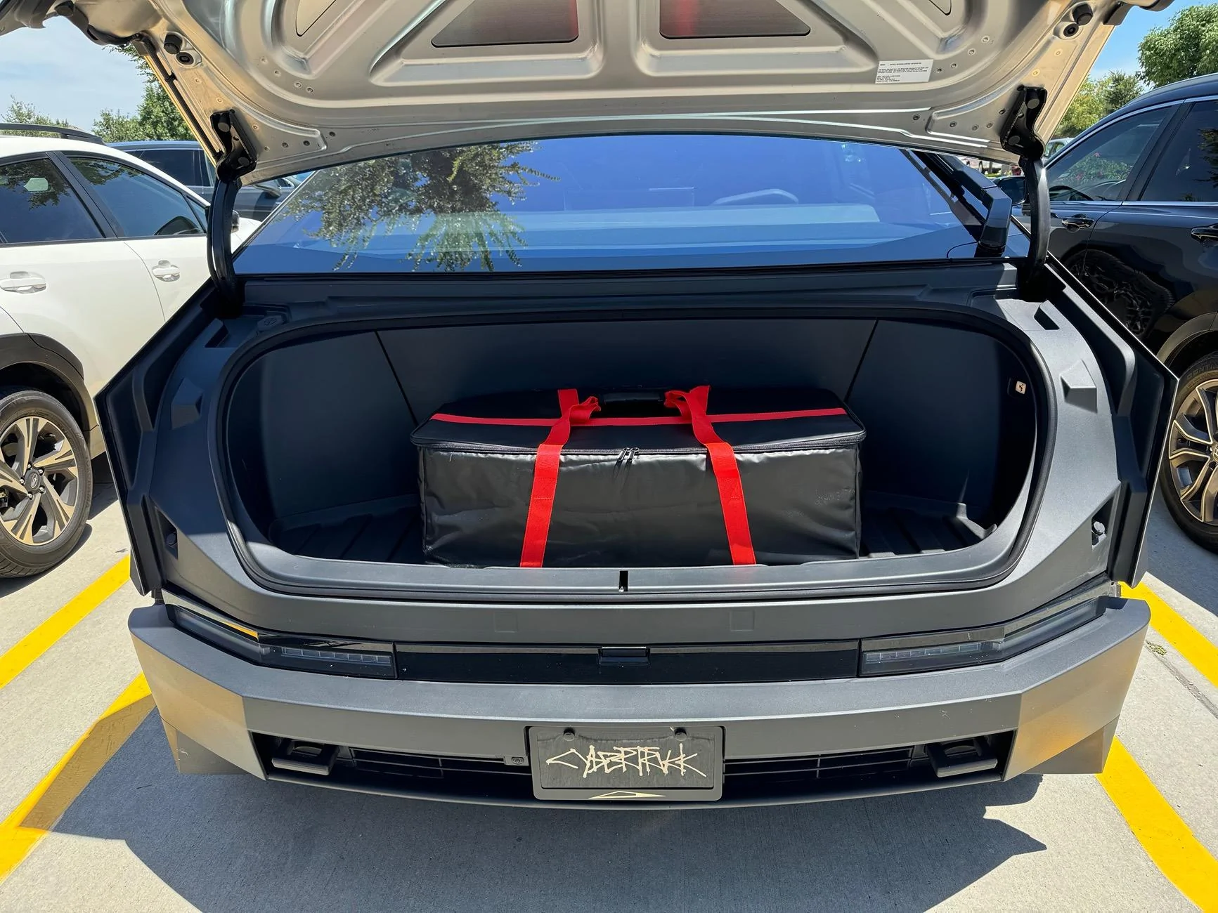 Tesla Roadster 2nd gen Costco run with the frunk insulated cooler bag from BestEvMod / EVVida IMG_6734