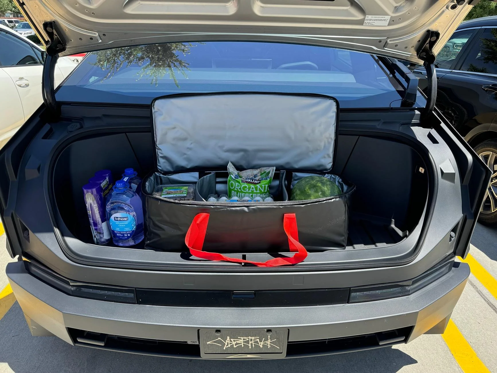 Tesla Roadster 2nd gen Costco run with the frunk insulated cooler bag from BestEvMod / EVVida IMG_6735