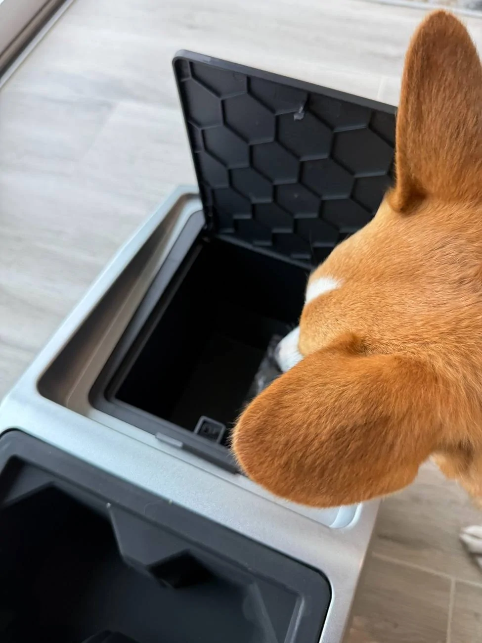 Tesla Cybertruck 🎉Cybertruck Center Console Floor Organizer Giveaway by Teslaunch🎉-Allows you to maximize the floor space of the cybertruck IMG_6806