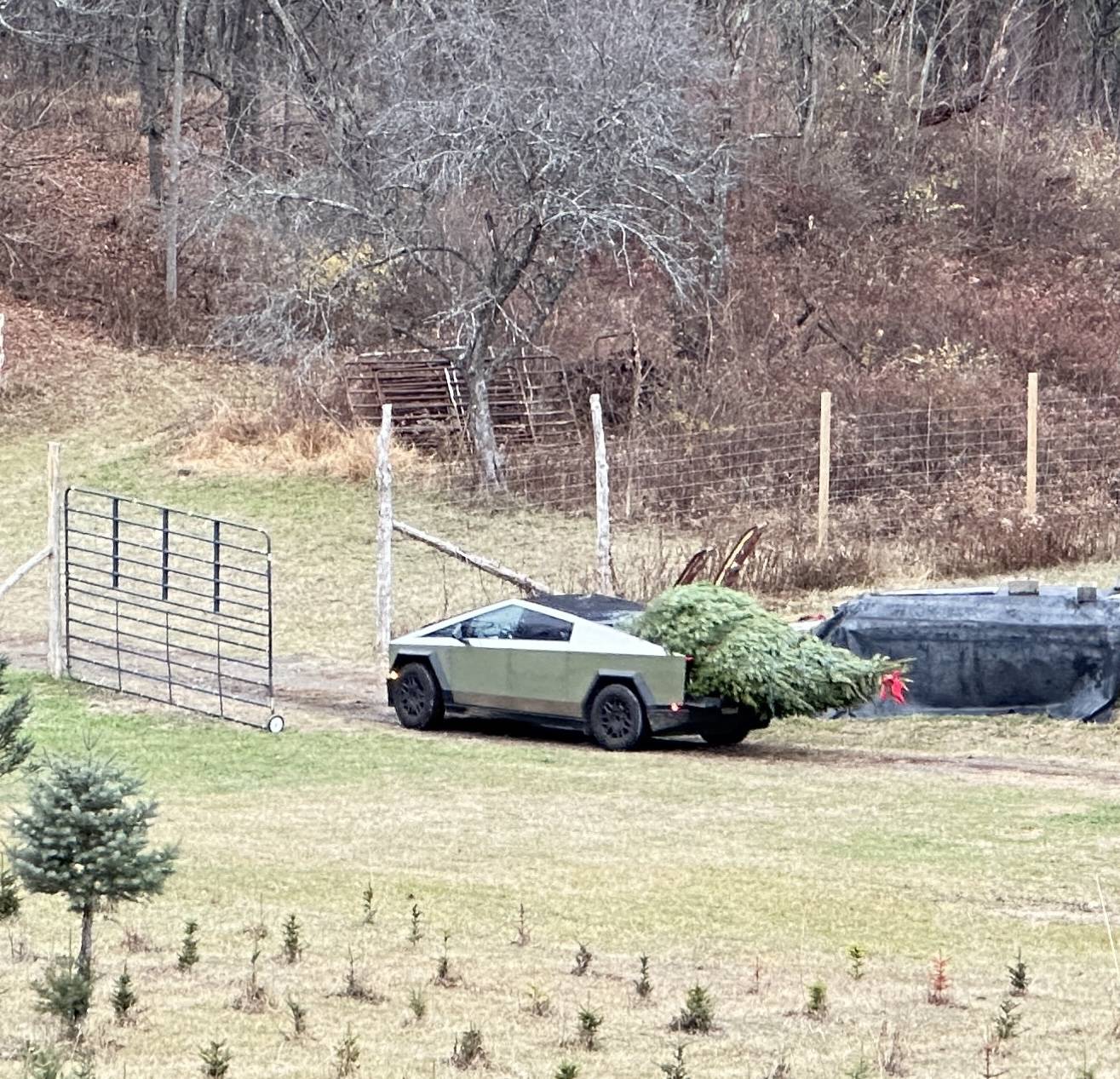 Tesla Cybertruck What did you do TO / WITH your Cybertruck today? 👨🏻‍🔧🧰🚿🛠 IMG_8015