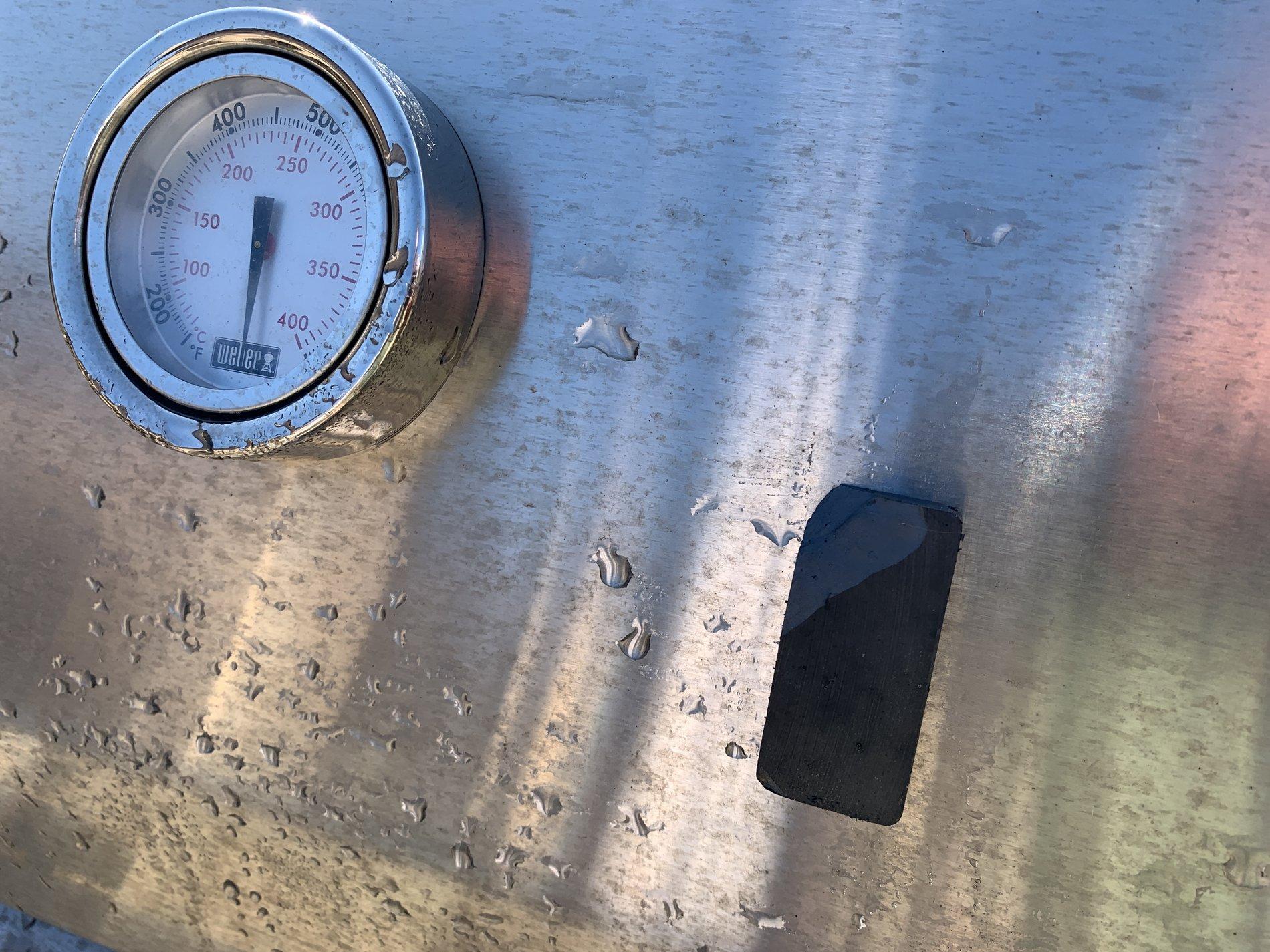 Tesla Cybertruck Stainless steel finish and the weather/elements IMG_8570.JPG