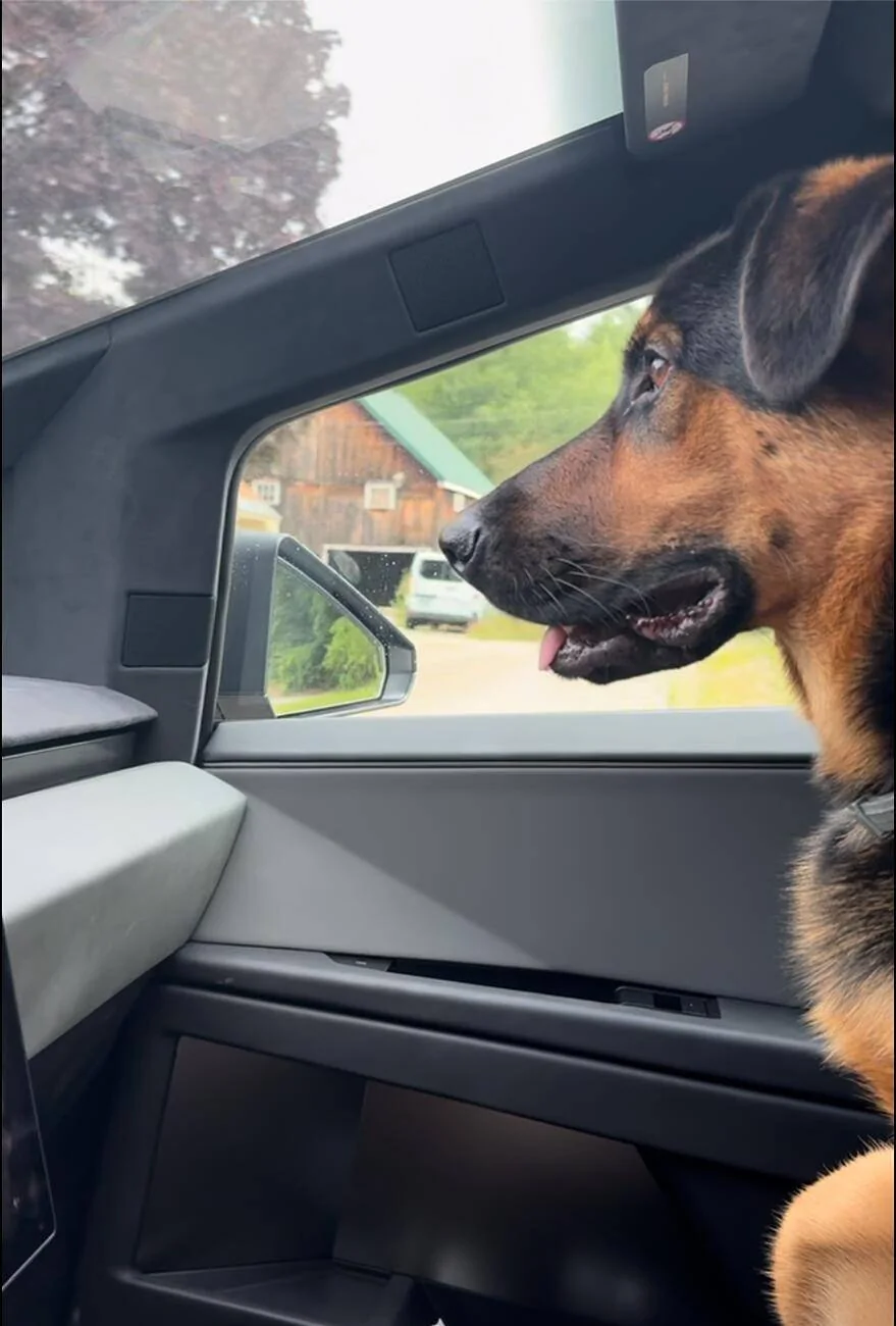 Tesla Cybertruck 🎉 Teslaunch New Giveaway : All-Inclusive Seat Covers for Cybertruck 🎉 porter