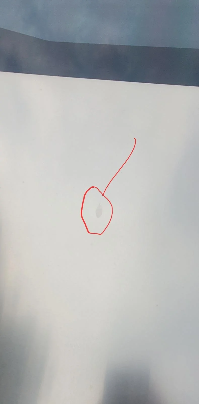 Tesla Roadster 2nd gen Blemishes - Need Advice Screenshot_20240624_075741_Gallery
