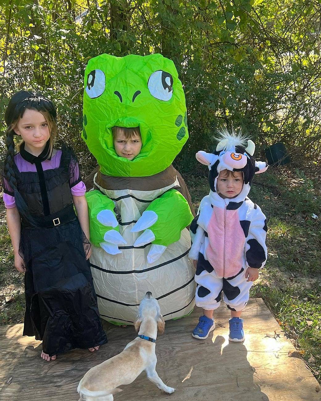 Tesla Cybertruck 🎃 Halloween Cybertrucks! 👻 Snapinsta.app_396515890_18393047890008243_7748758929763614276_n_1080