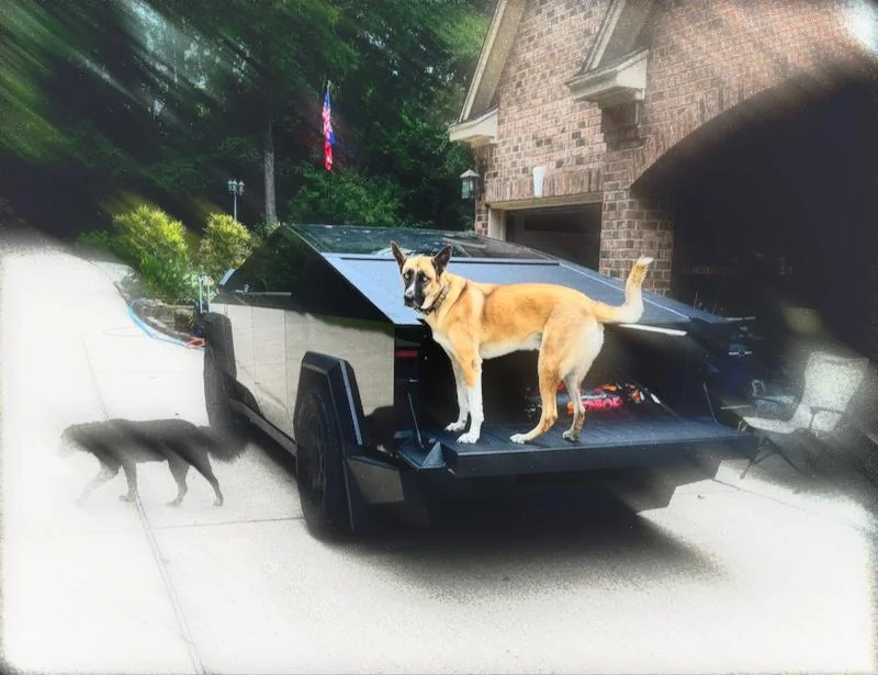 Tesla Cybertruck Introducing the MARSACCS Cybertruck Pet Cover for Dogs & Pets – Share Your Thoughts! Thor the CyberDog