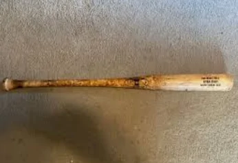 Tesla Cybertruck Possible vandalism Deterrent zimage9852